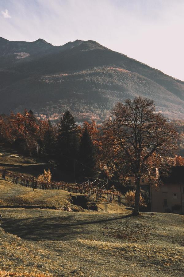 Masera Casa Brencio Bed & Breakfast エクステリア 写真